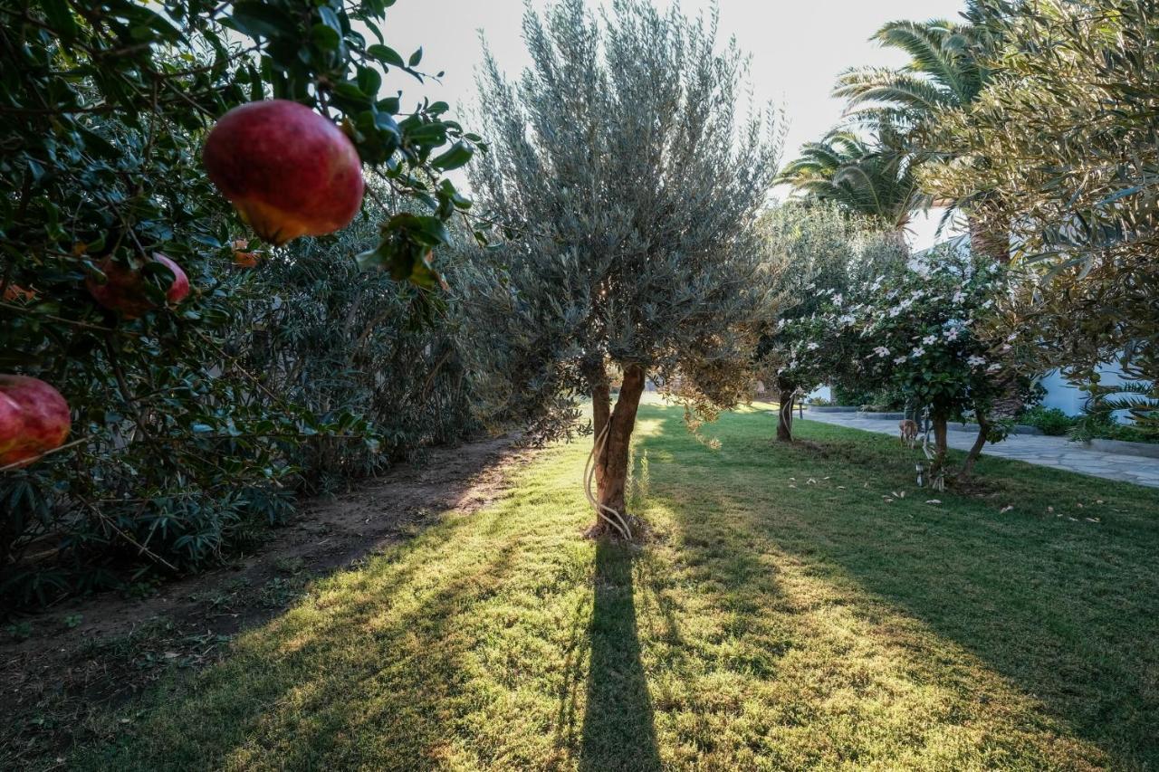 Golden Beach Studios & Suites Tinos Luaran gambar