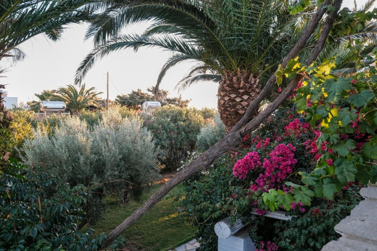 Golden Beach Studios & Suites Tinos Luaran gambar