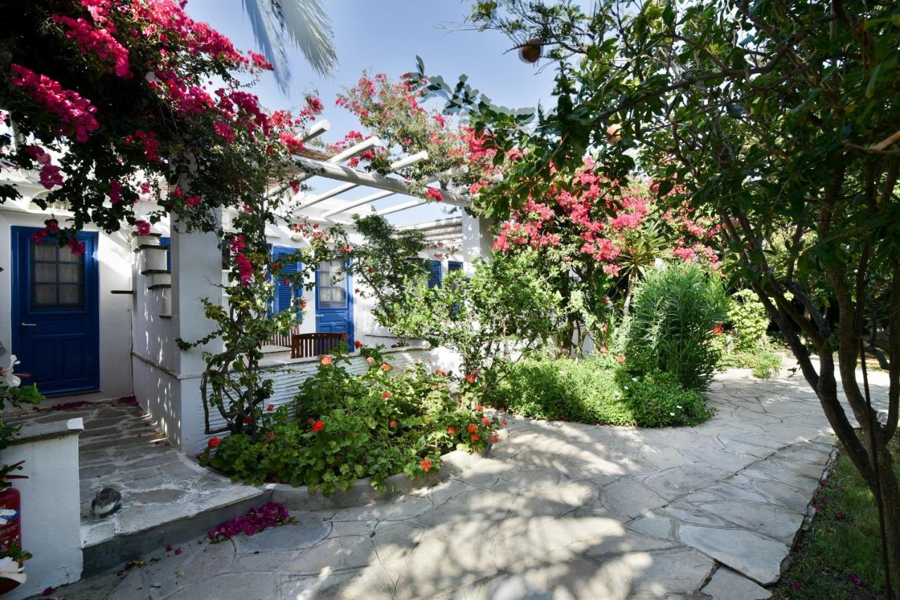 Golden Beach Studios & Suites Tinos Luaran gambar