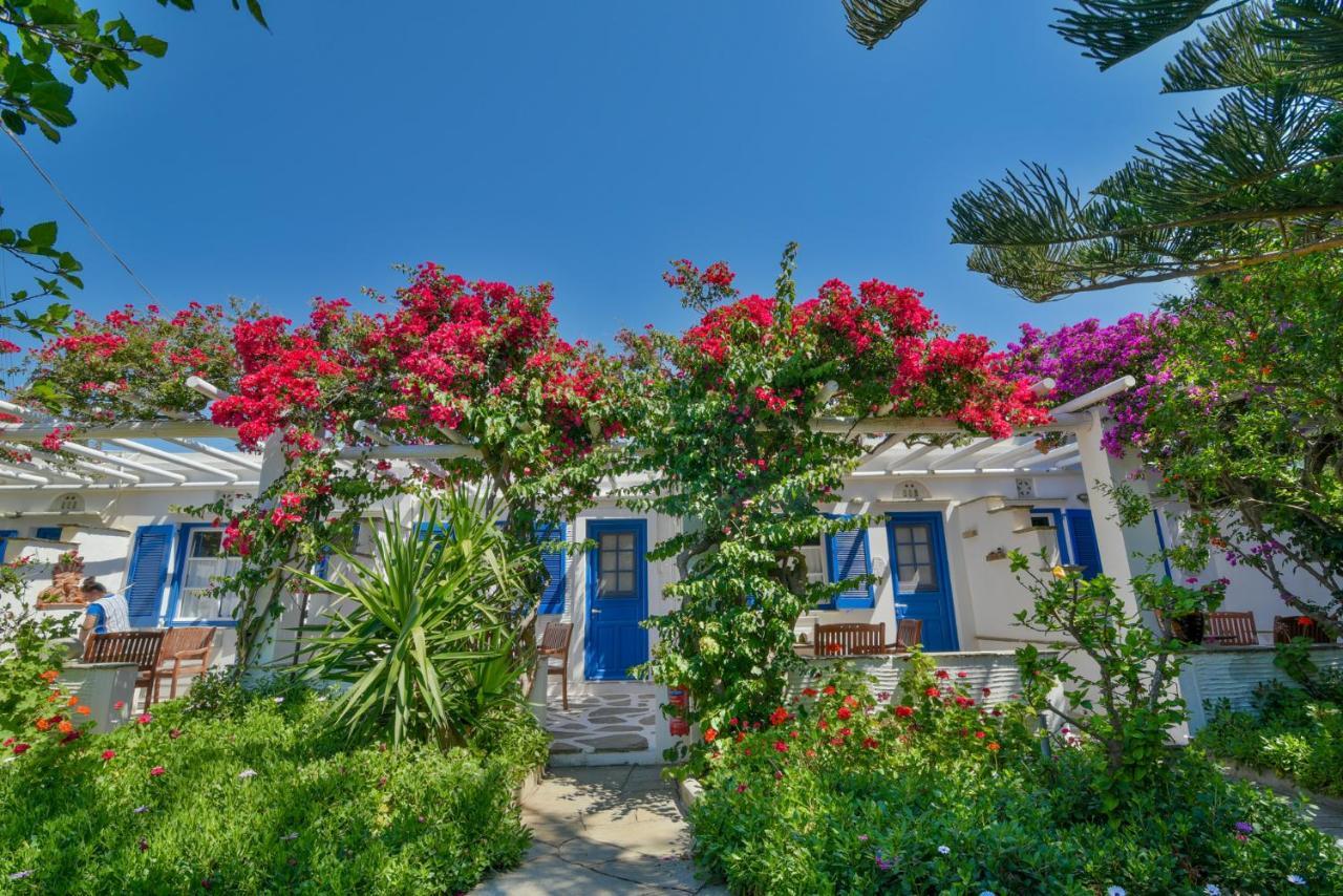 Golden Beach Studios & Suites Tinos Luaran gambar
