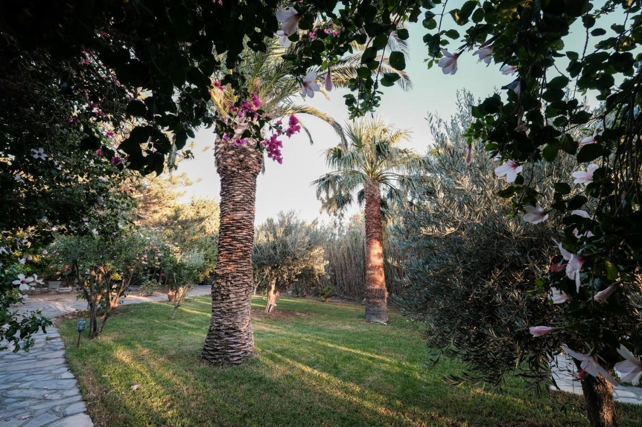 Golden Beach Studios & Suites Tinos Luaran gambar