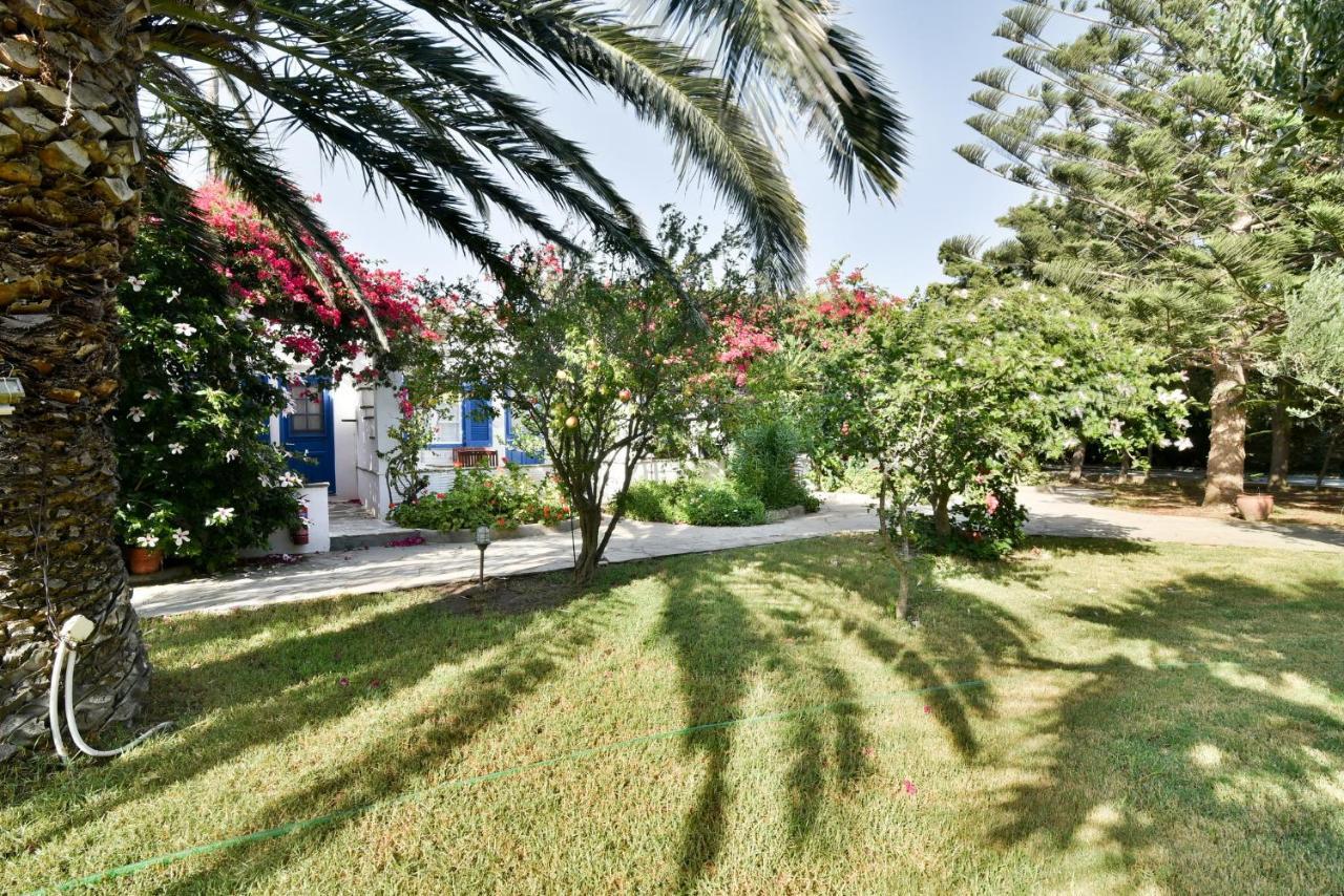 Golden Beach Studios & Suites Tinos Luaran gambar
